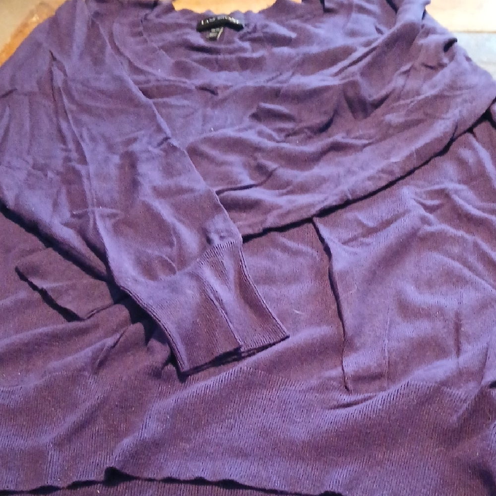 H&M Deep Purple V-Neck Sweater
